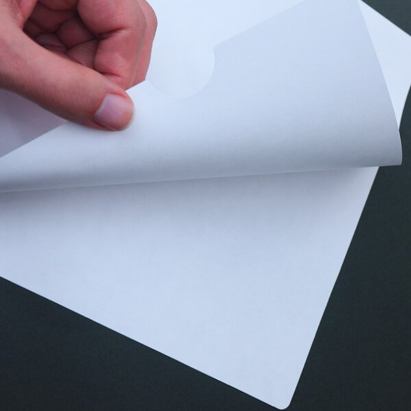 画像3: 紙製ホルダー(紙ファイル) A4サイズ 環境に優しい紙ホルダー (3)