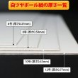 画像11: 片面白ツヤボール10号(厚0.63mm) A5 148×210mm (11)