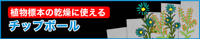 植物標本の乾燥に使えるチップボール